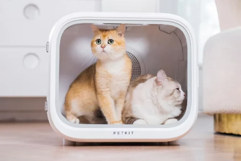 Smart Pet Hair Drying Box 6 1 1 | Eluminar