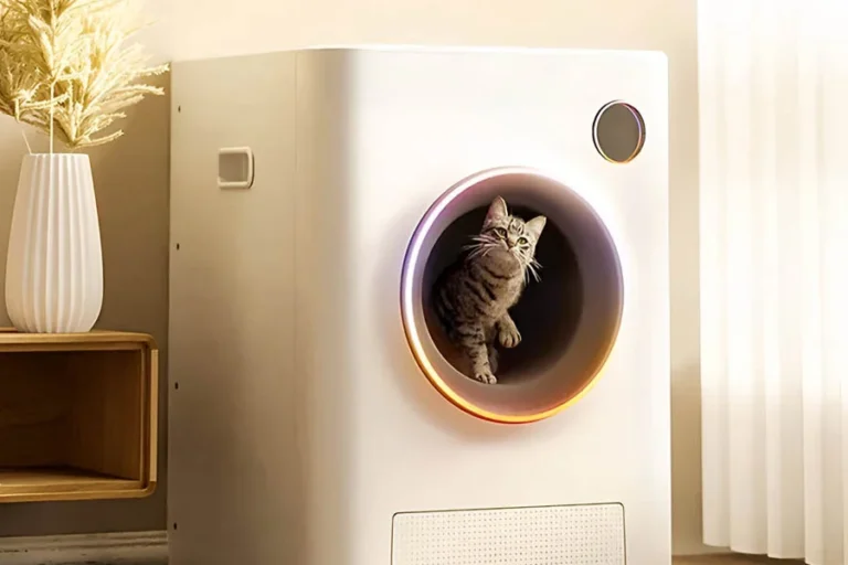 cat sandbox automatic collector cat litter 18 | Eluminar