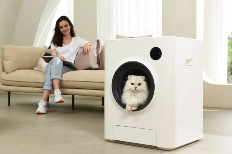 cat sandbox automatic collector cat litter 25 1 | Eluminar