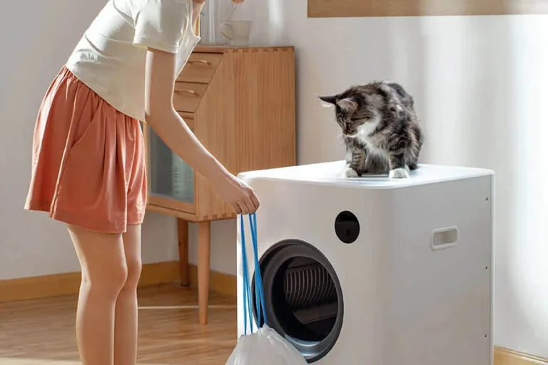 cat sandbox automatic collector cat litter 29 1 | Eluminar