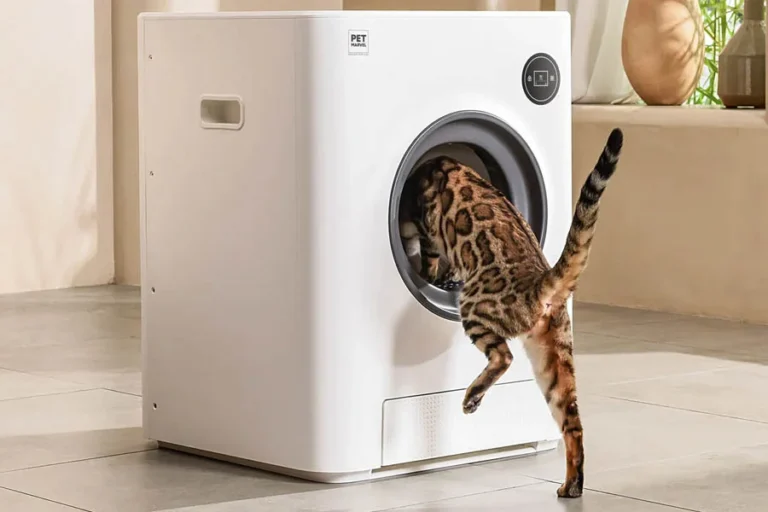 cat sandbox automatic collector cat litter 8 | Eluminar
