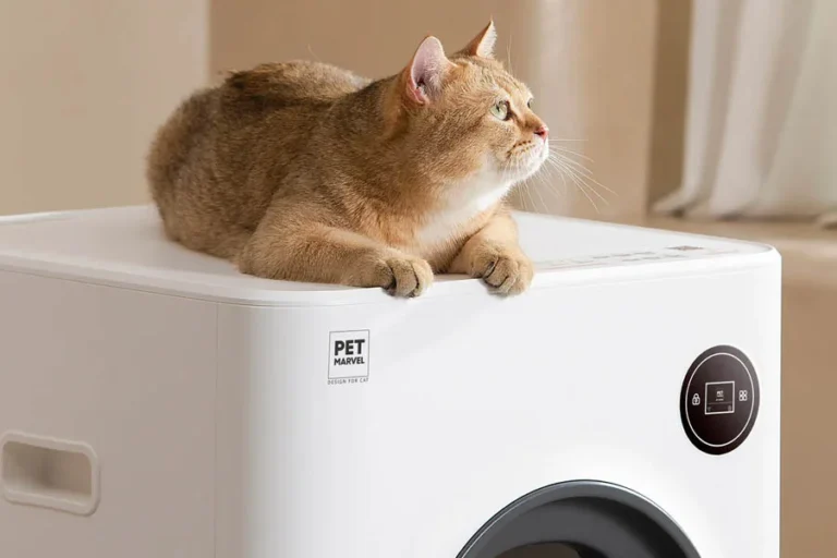 cat sandbox automatic collector cat litter 9 1 | Eluminar