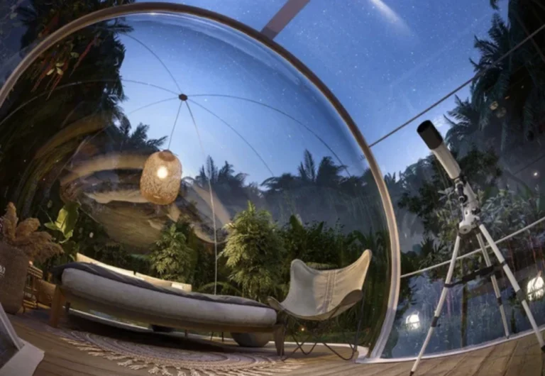 inflatable starview bubble tent 12 | Eluminar