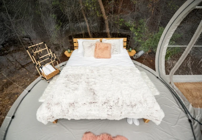 inflatable starview bubble tent 23 2 | Eluminar